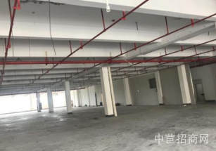 浙江嘉興桐鄉廠房出售環境優美!鋼結構 個人適合電子科技