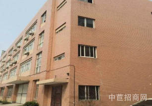 浙江嘉興桐鄉廠房出售環境優美!磚混結構名開發商適合標準機械廠房