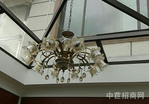 可環評南湖廠房出售工業用地獨棟廠房個人適合醫療器械