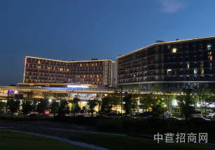 浙江嘉興桐鄉廠房出售便利店磚混結構原房東適合無污染行業