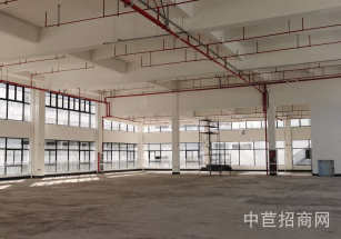 協助辦環評桐鄉廠房出售工業用地獨院廠房知名物業適合醫療健康