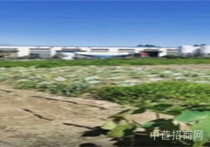 營口市鲅魚圈區