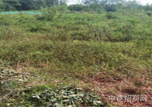 邯鄲市峰峰礦區