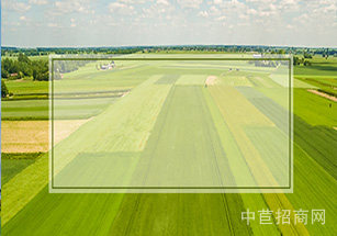 上海市閔行區閔行虹橋120畝空地
