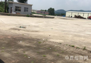 上海市金山區