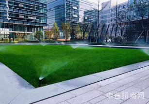 南寧市西鄉塘區南寧市西鄉塘區寫字樓出售