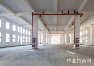 申港路二手廠房*