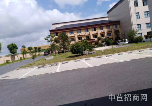 奉賢科工路上海奉賢拓林科工路廠房出租104地塊