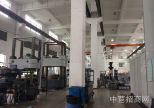 新橋獨門獨院單層廠房上海松江新橋獨門獨戶單層廠房外資企業形象