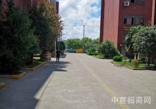 青浦趙巷崧煌路廠房