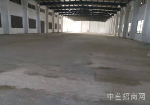 壹座城文創園松江九亭商業街單層無立柱廠房可分割