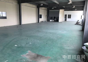 松江洞涇西張涇路廠房