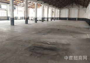 青浦白鶴單層廠房7米*