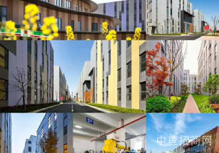 金地威新松江智造園松江車墩新橋104地塊可生產可環評有燃氣可SC獨棟可分租