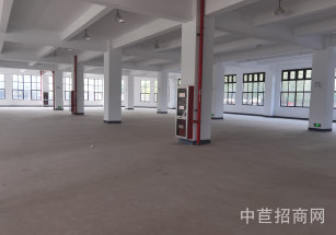 松江泗涇獨(dú)門獨(dú)院廠房104地塊可生產(chǎn)可環(huán)評(píng)園區(qū)空地