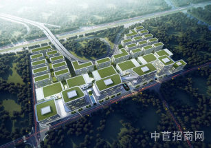 奉賢青港園區盛賢·生命灣谷奉賢青村臨港新片區，雙層標準廠房出售