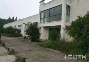 松江葉榭單層廠房出售*