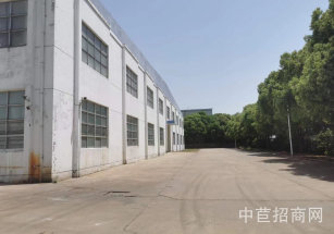 天成股份唯亭鎮G42高速出口旁，單層11米標準廠房出租，帶10噸行車