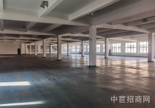 松江車(chē)墩獨(dú)棟廠房*