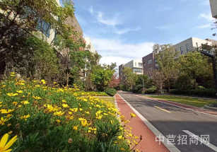 研祥科技園港閘獨棟可研發廠房出租，形象佳，出路好