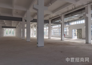 松江中山街道獨棟廠房出售松江中山街道104地塊可分割獨門獨院