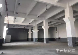 奉賢四團平海路廠房出租*