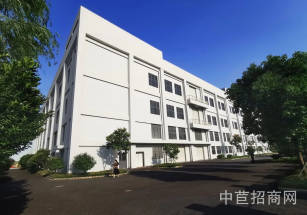 松江泗涇上海交科醫療健康產業園松江泗涇104廠房出租可環評