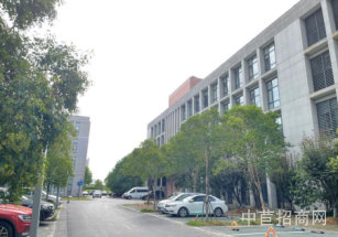 臨港松江甲級辦公寫字樓出售松江新橋甲級辦公寫字樓出售，1037平，可注冊環評