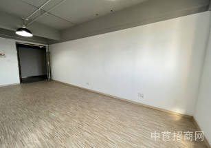 浦東張江廠房出租浦東張江寫字樓 九洲中心 張江高科技園區 返上下水