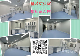 生物醫藥實驗室辦公室精裝出租