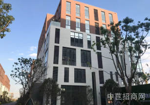 派米雷.佘山智地松江經濟開發區獨棟104工業廠房分層出租 