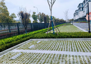 青浦移動智地青浦1500平稀缺獨棟辦公樓出售 適合各類研發辦公企業總部