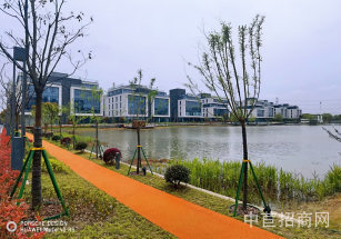 青浦移動智地青浦3600平稀缺獨棟辦公樓出售 獨立50年產權 三成首付