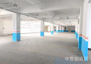 夢谷申虹產(chǎn)業(yè)園青浦徐涇4000平廠房出租 電子科技醫(yī)療器械人工智能