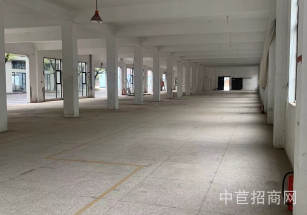 榮潮創意園川沙可做汽車展廳廠房出租，104地塊，落地窗采光好