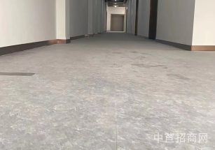 華新·鳳北路6200平獨門獨院青浦華新1500平廠房出租 近高速口和虹橋機場