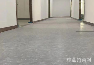 華新·鳳北路6200平獨門獨院