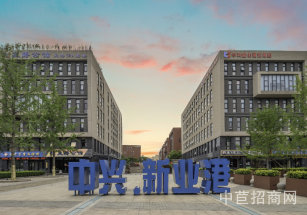 鄭州中興新業港鄭州研發辦公廠房出售，總部首選，中興新業港廠房出售