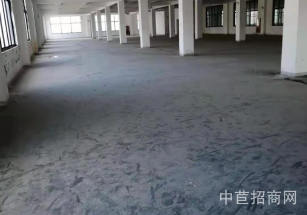 虹橋金國創客空間華新2000平優質廠房出租 電子科技醫療器械人工智能等