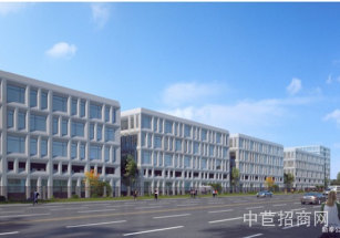 奉賢智谷德濠金午產業園奉賢奉城104板塊，獨棟研發廠房出售 底樓可架行車