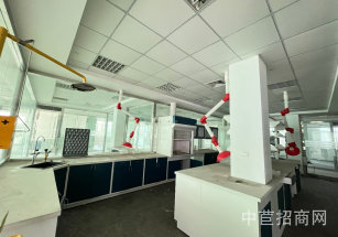 爍谷國際創研中心周浦鎮通燃氣104廠房出租，免費停車，空地大，超長免租期