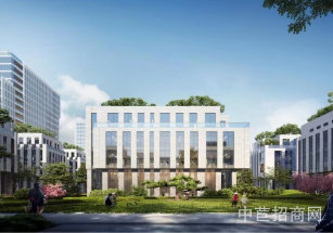 保集e藥谷奉賢地鐵口，醫藥產業園，獨棟研發廠房出售，可環評 按揭貸款