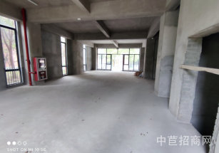 新橋名企公館新橋1500平花園式廠房出售 停車位足 班車接送