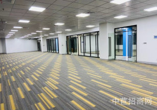 抱家燕匯谷莘莊工業區高標準廠房出租，一樓層高7米，近嘉閔高架