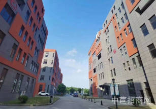 復旦(醫大)奧醫生物醫學高新園區奉賢金海醫藥產業園廠房出租，104板塊 可環評小面積 