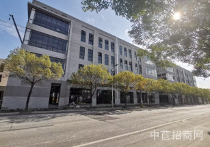 萬焜科技園新橋獨棟廠房出售 電子科技醫(yī)療器械人工智能