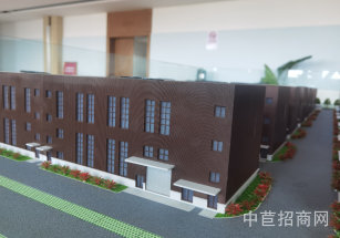 王道全申港路項目車墩全新廠房出售 雙層廠房 7.9+7.2米 房型好