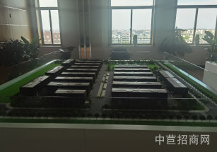 新橋新格路95畝產業園獨棟廠房出售 新橋可環評廠房出售 無污染行業