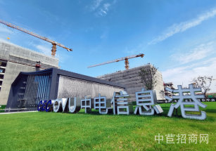 中電光谷?上海中電信息港，松江小面積104工業廠房出售 產權50年 生產研發辦公展廳