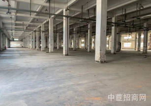 崧盈路12米單層廠房單層廠房出租 園區配套全 空地大 停車方便